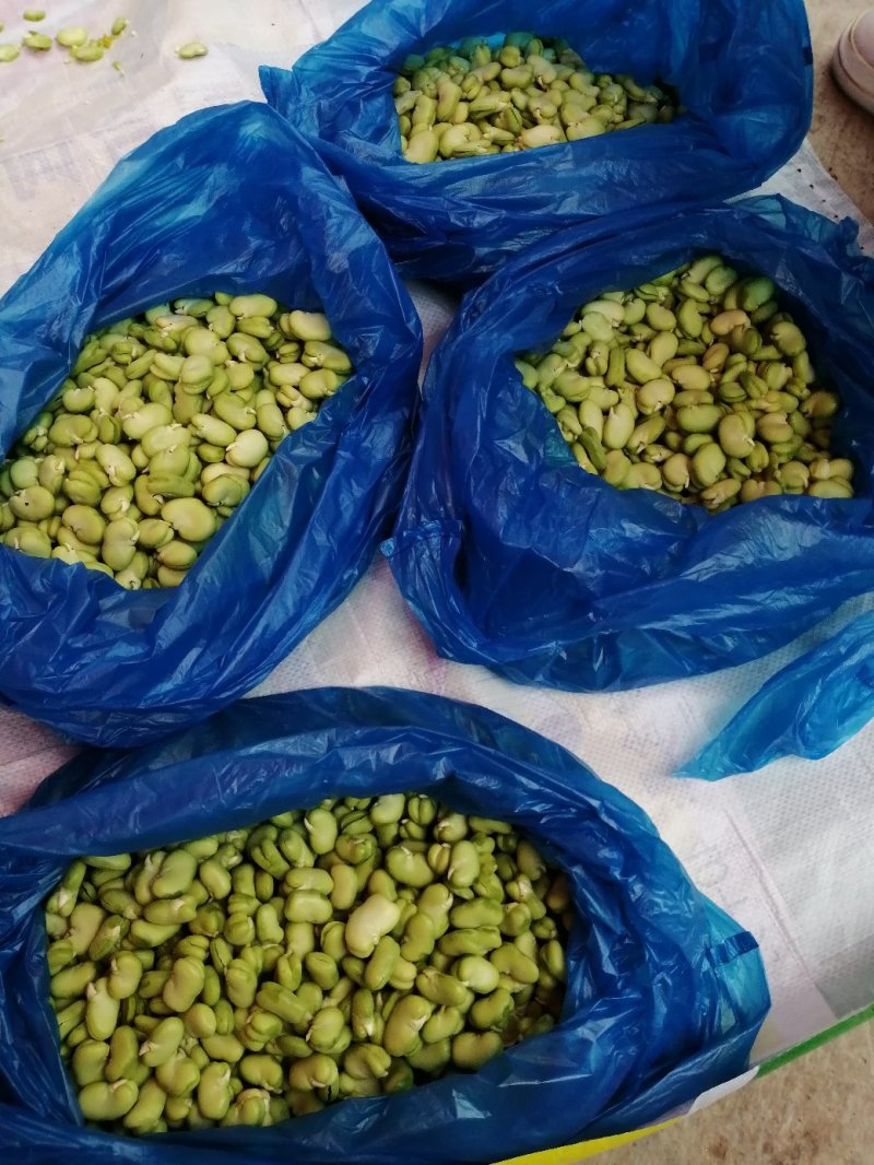 青蚕豆，青豆米