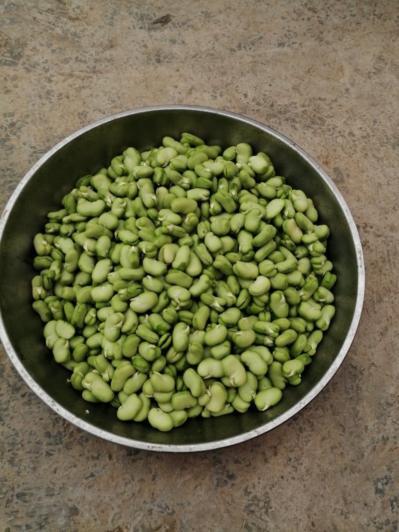 青蚕豆，青豆米