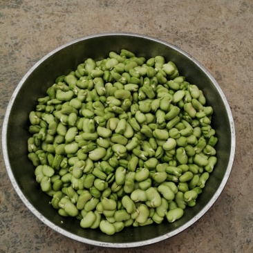 青蚕豆，青豆米