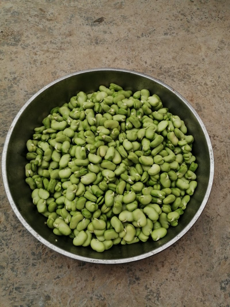 青蚕豆，青豆米