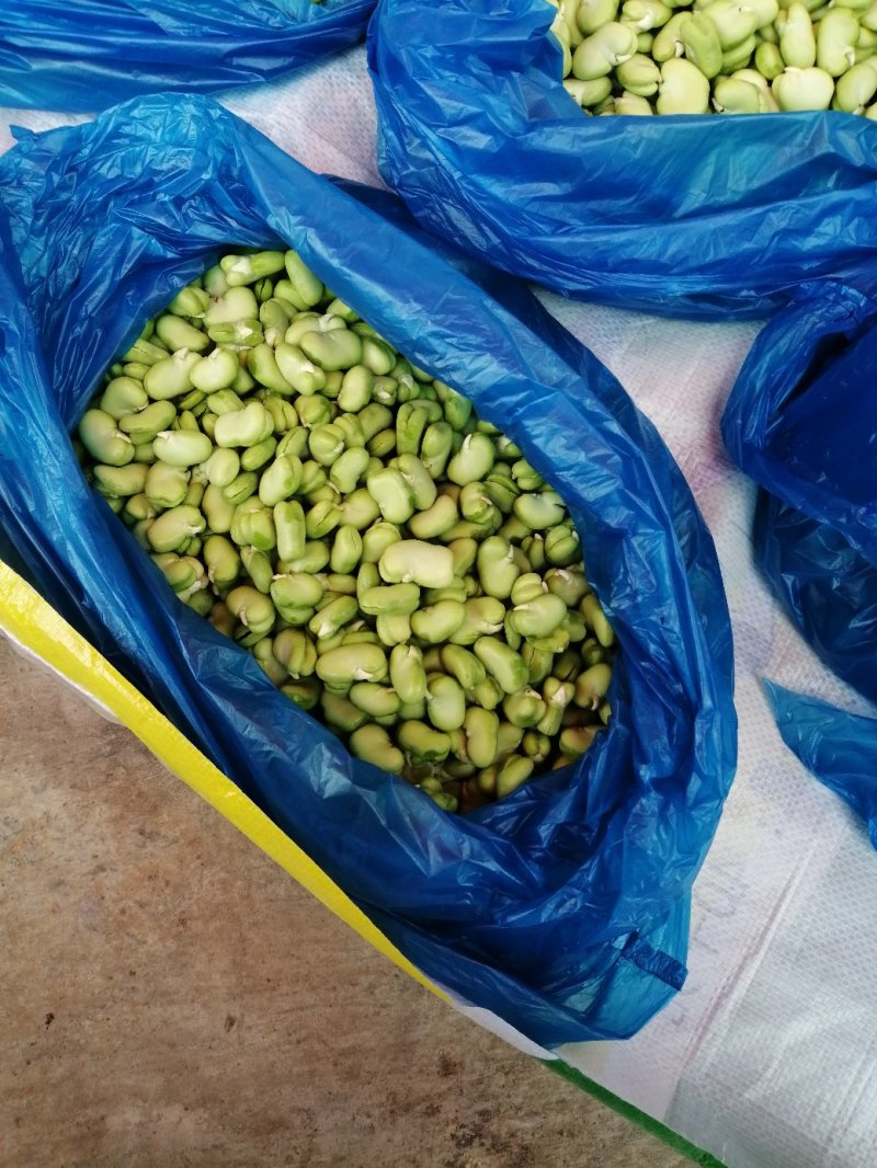 青蚕豆，青豆米