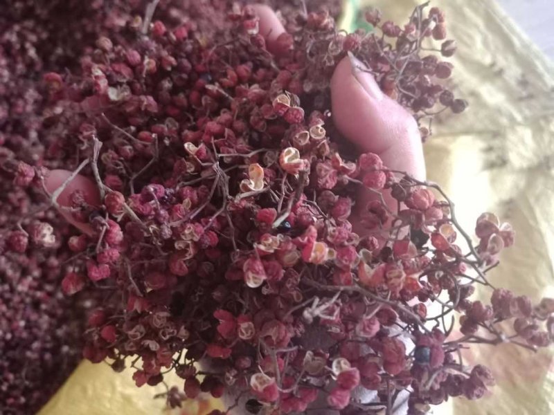 花椒