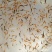 佛山南海锦鲤鱼苗1-2cm供应