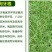 天堂种子95%以上