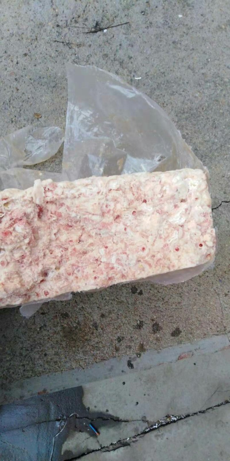 鸡嗉囊油