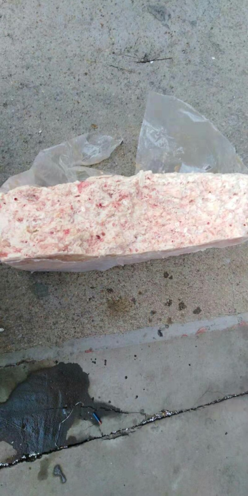 鸡嗉囊油