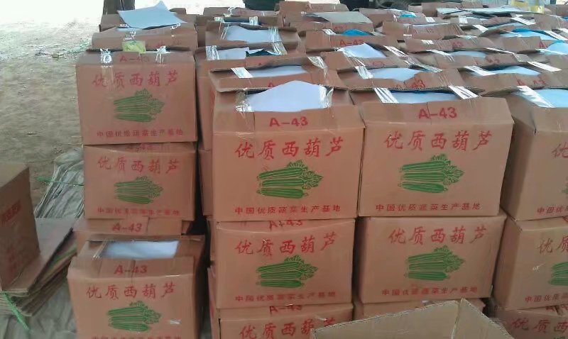 西葫芦已经上市有需要的联系我