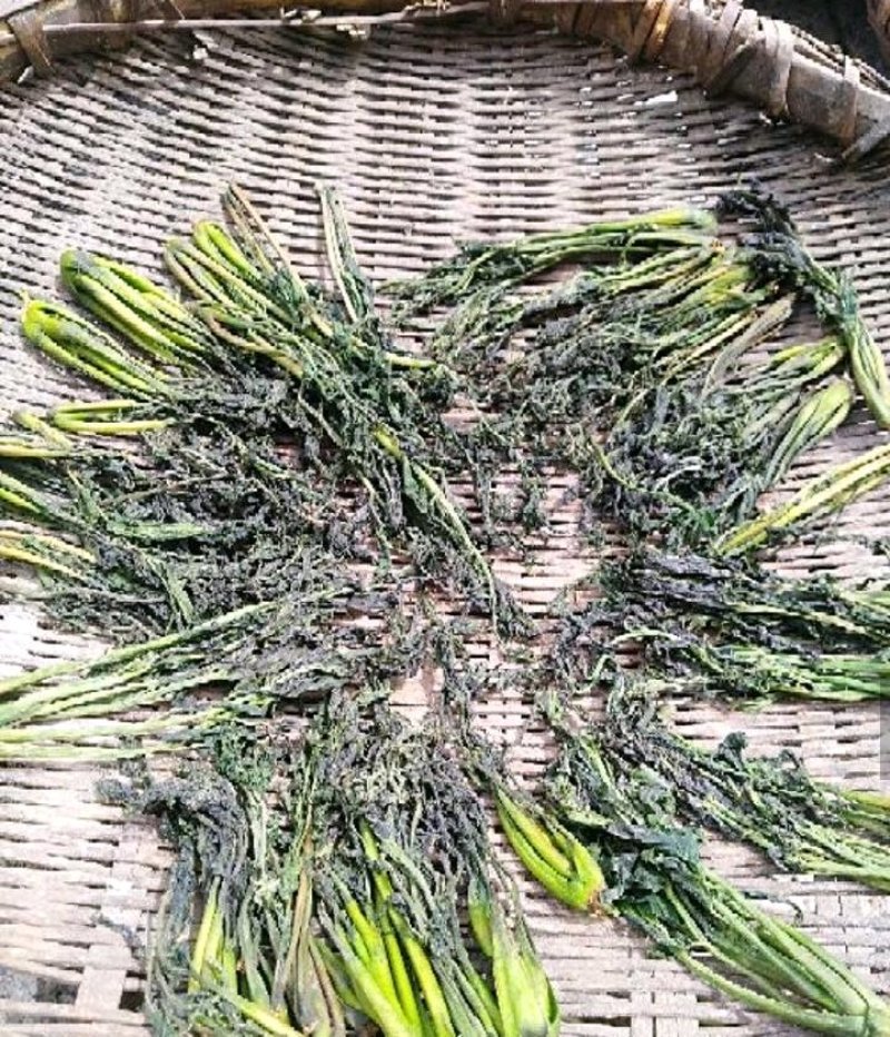 干香椿芽2020年新货产地直批