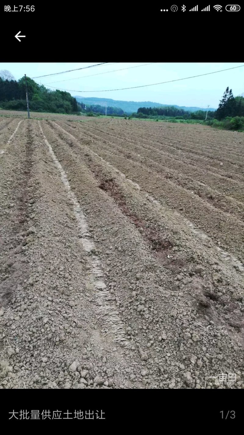 供应土地