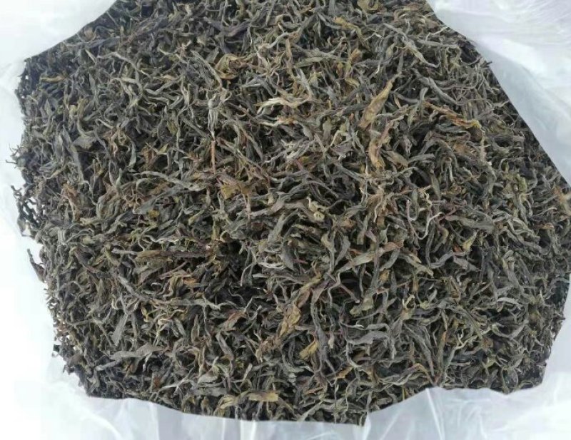 古树茶