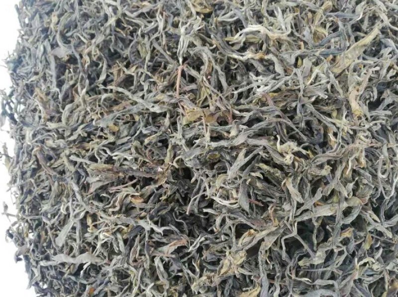 古树茶