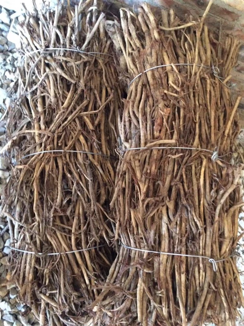 湖南永州厚朴根皮选货高含量