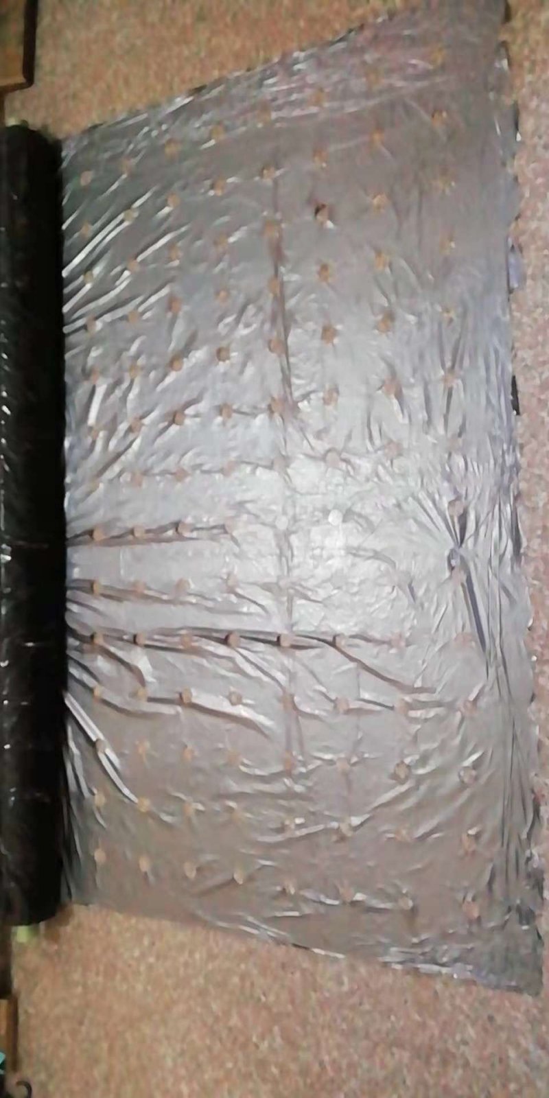 黑老虎，树苗，育苗防草保湿地膜