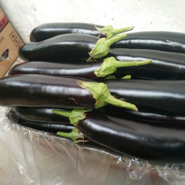 765