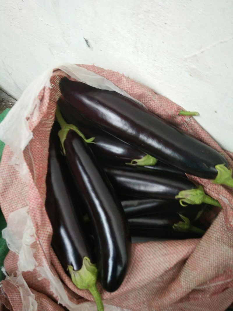 765