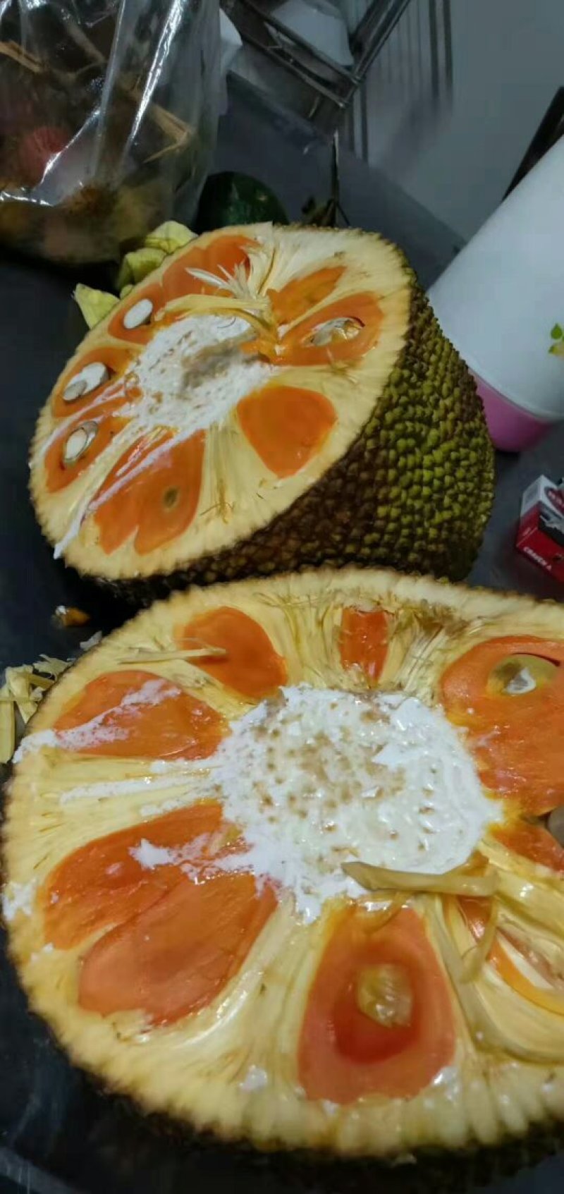泰国五号红肉菠萝蜜苗。一手货源。