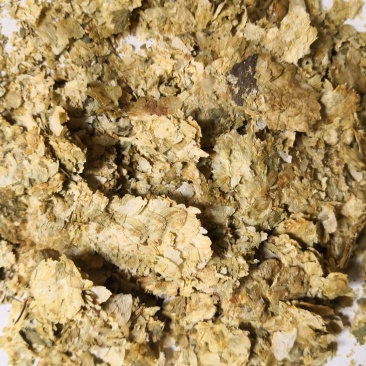 啤酒花新疆1公斤起批无硫无添加不包邮正品