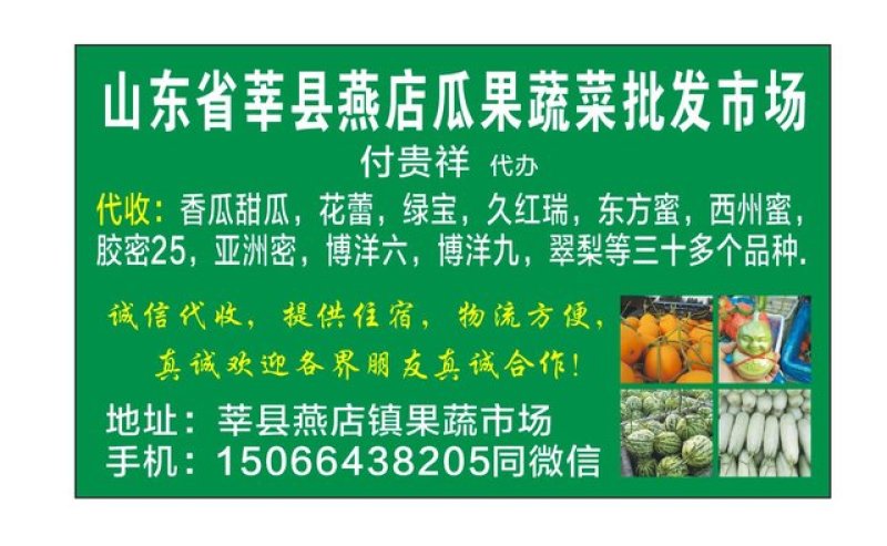 圣女果上市了，酸甜可口的小柿子，田间地头发货
