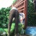 扁包菜1~2公斤