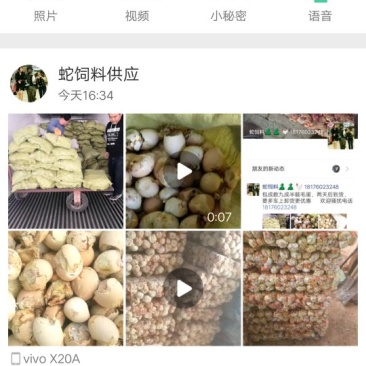 蛇饲料