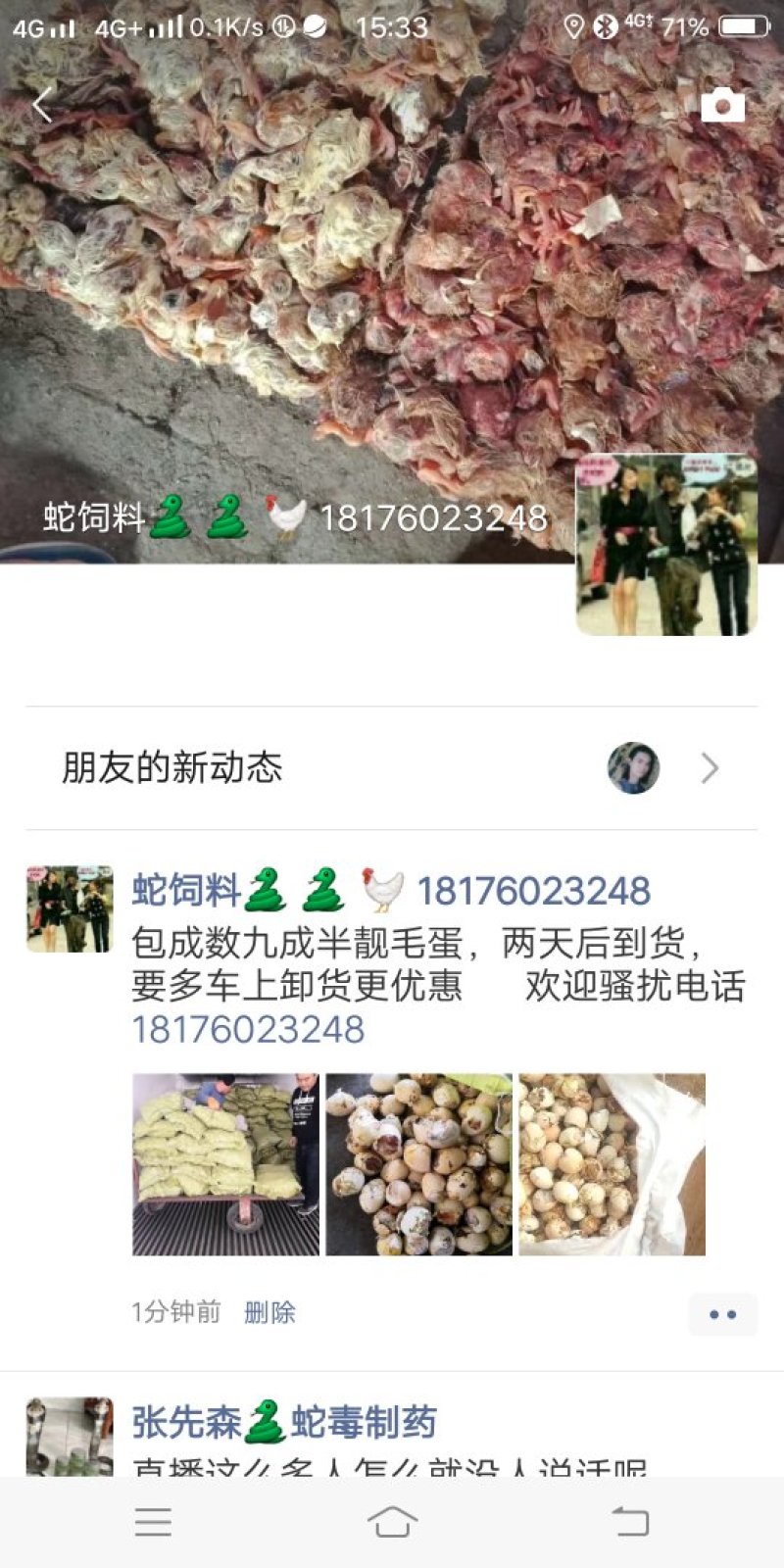 蛇饲料