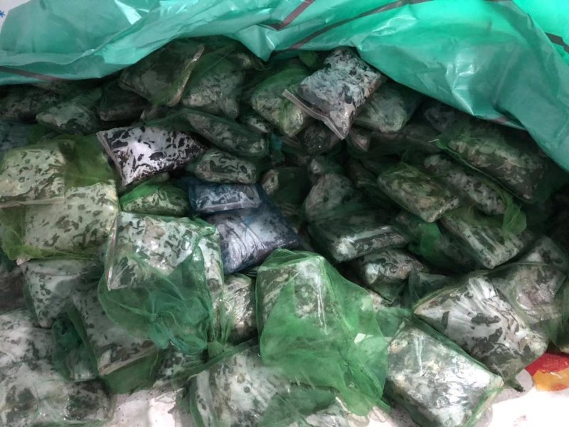 蛇饲料