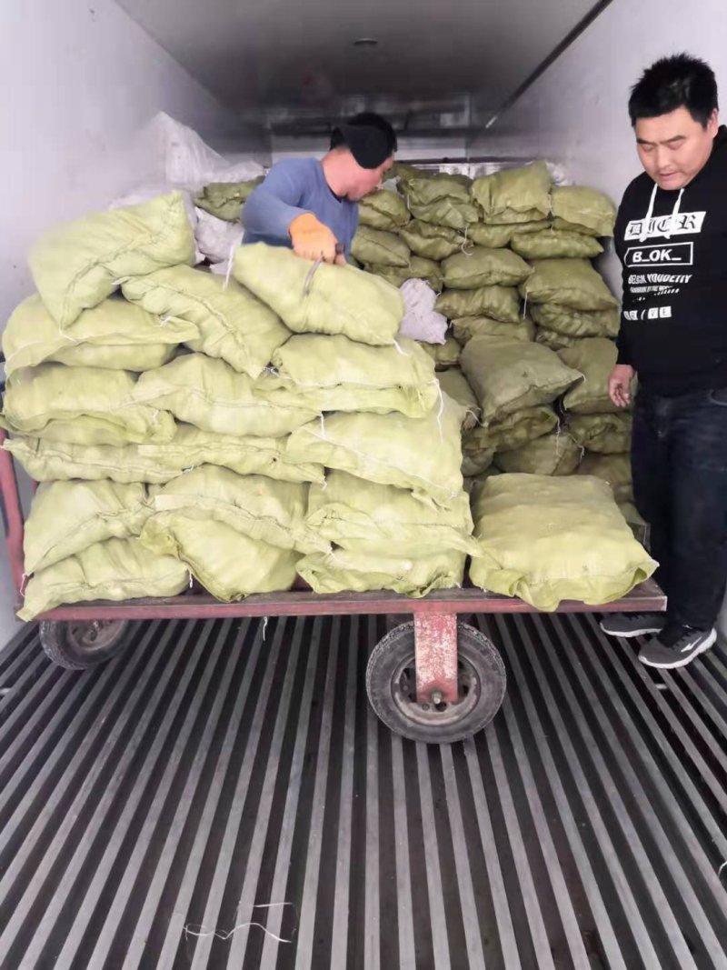 蛇饲料