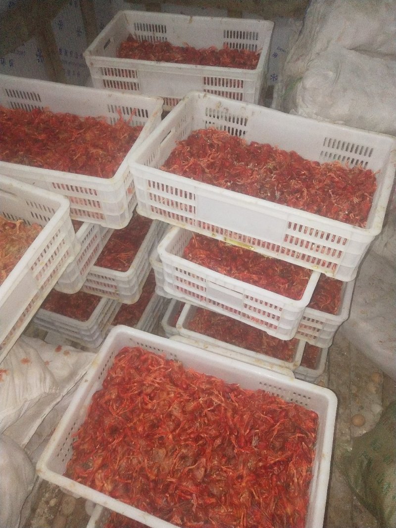 蛇饲料