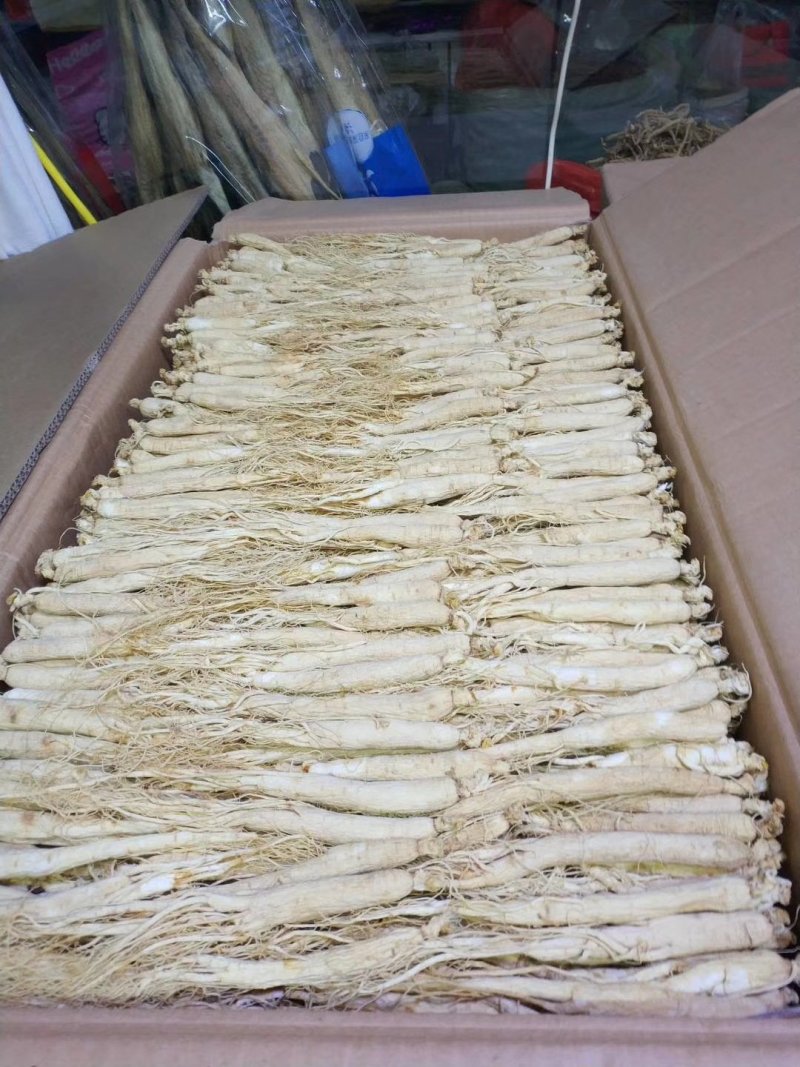 东北人参生晒白参吉林人参东北土特产产地直发