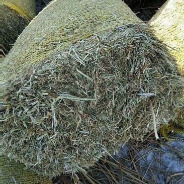 谷草干草