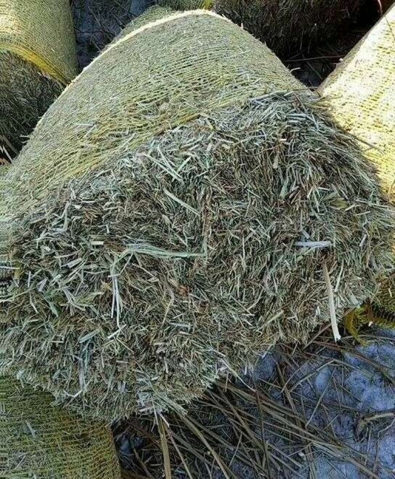 谷草干草