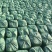 多伦纯青储唐山黄储