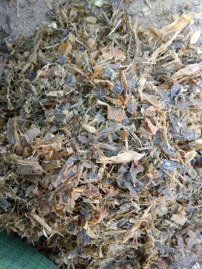 多伦纯青储唐山黄储