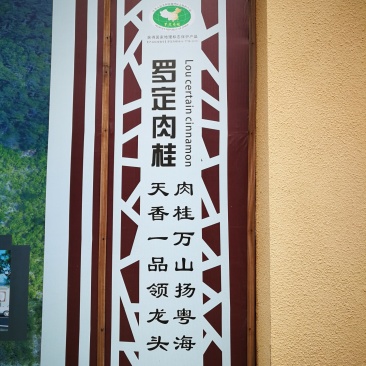 肉桂之乡的桂枝（各种规格）