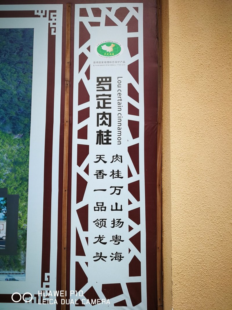 肉桂之乡的桂枝（各种规格）