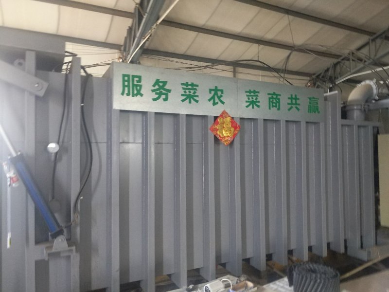 上海青（小油菜）曹县原产地直发，一手货源，量大从优，油菜