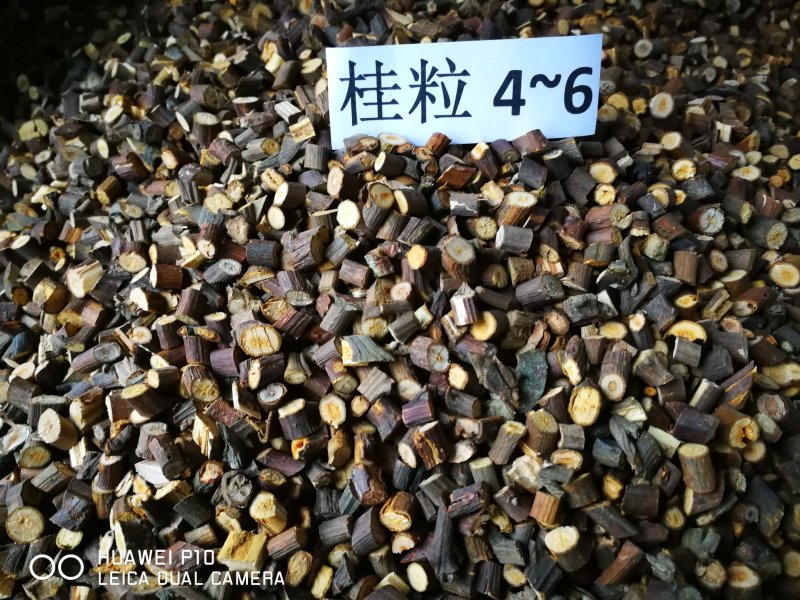 肉桂之乡的桂枝（各种规格）