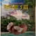 椰子粉植脂末椰子风味粉直冲直饮浓香椰子粉