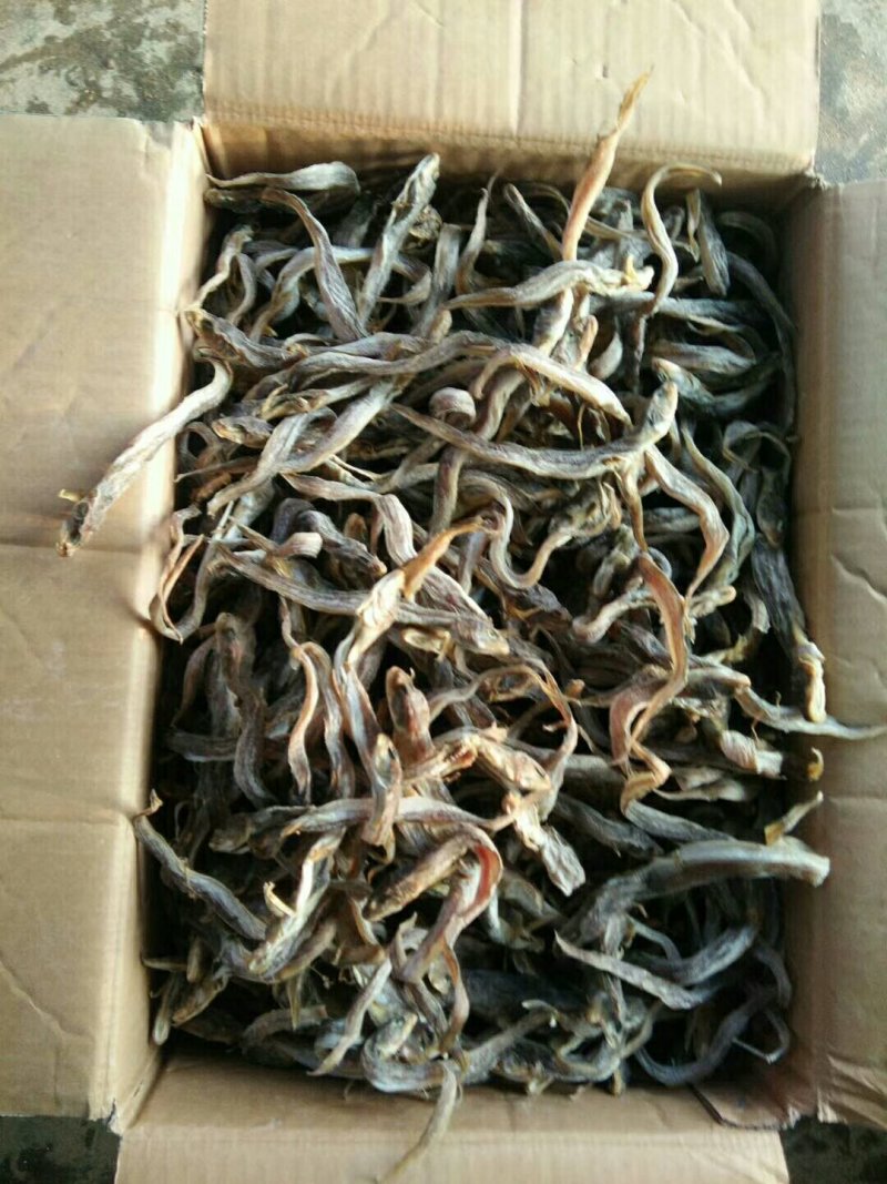鲶鱼冻的鱼干都有可以联系我加工