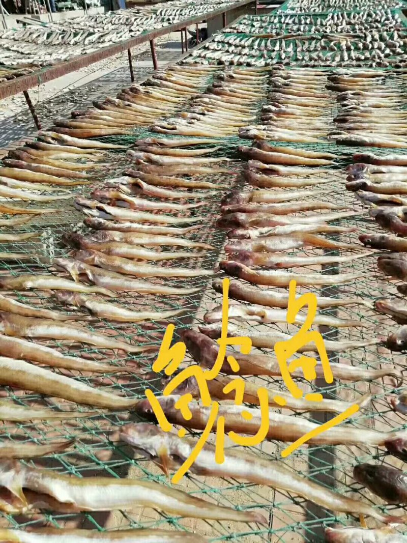 鲶鱼冻的鱼干都有可以联系我加工