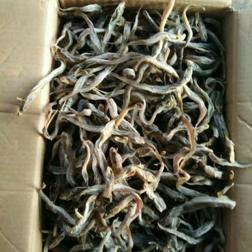鲶鱼冻的鱼干都有可以联系我加工