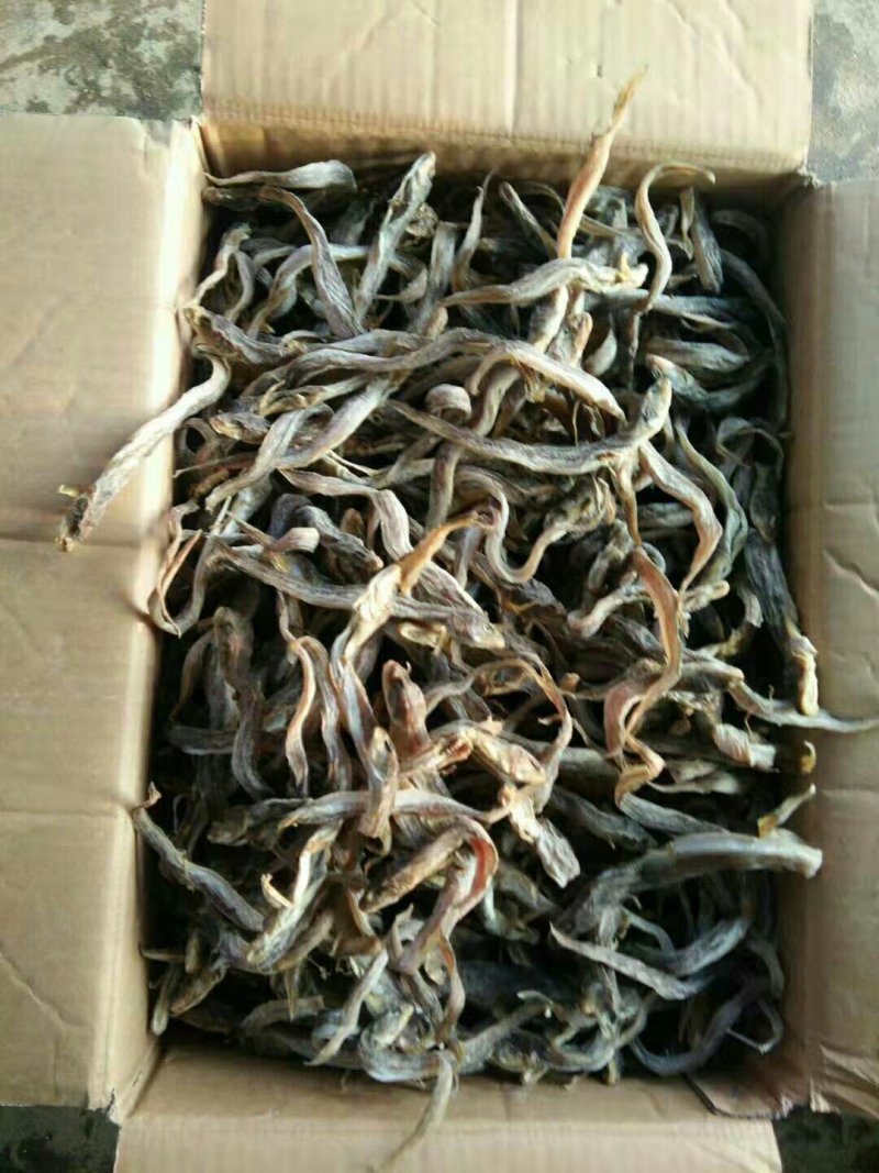鲶鱼冻的鱼干都有可以联系我加工