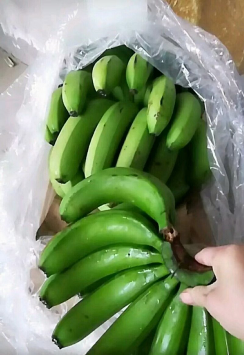 纯三把四把