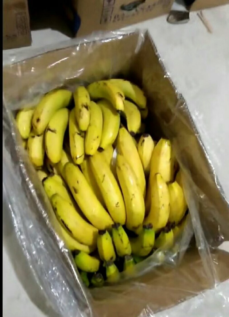 纯三把四把
