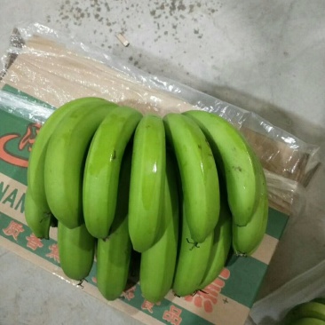 纯三把四把