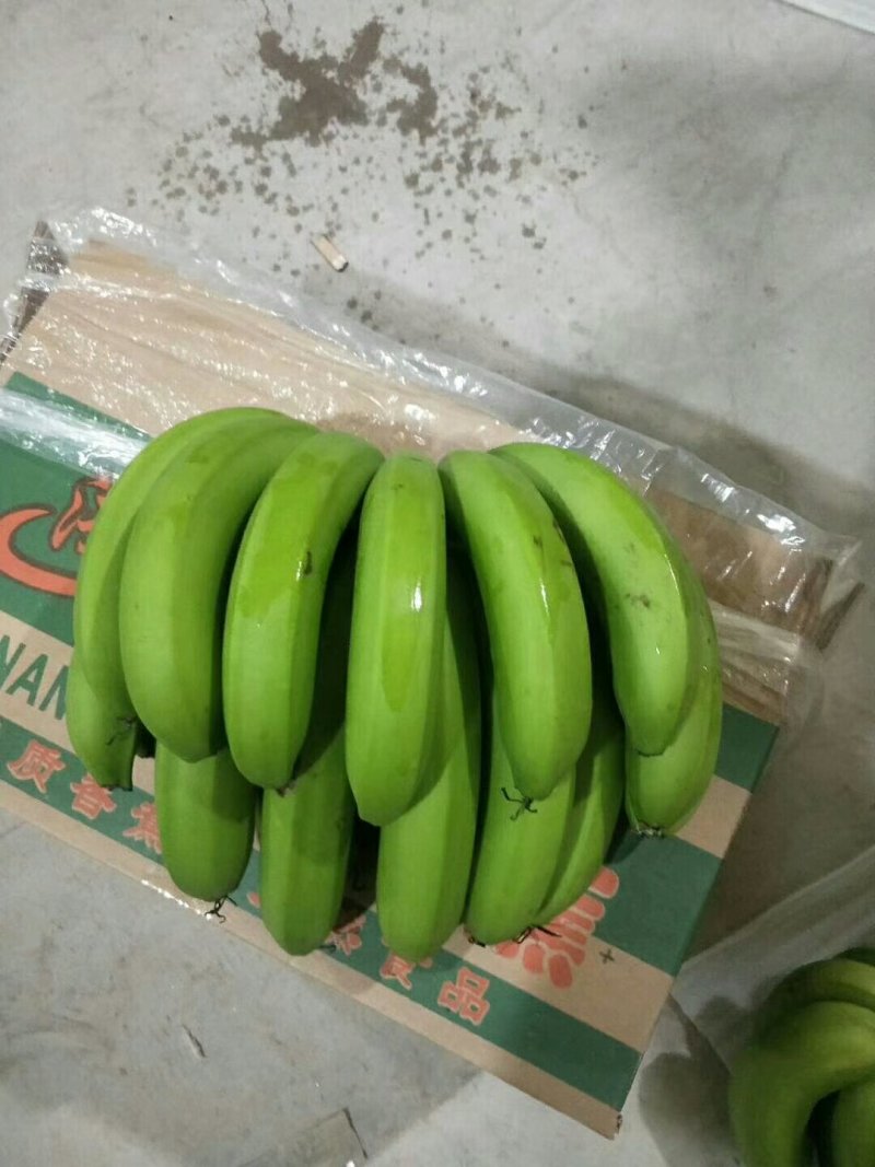 纯三把四把