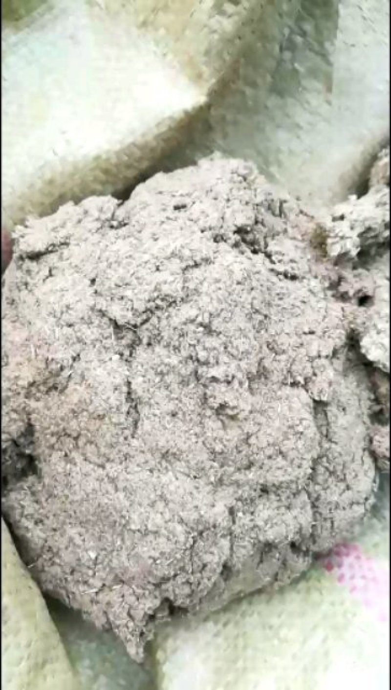 艾绒