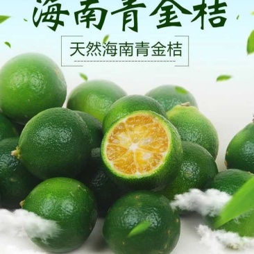 酸桔，海南酸桔，海南酸桔子，酸桔子，酸橘