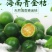 酸桔，海南酸桔，海南酸桔子，酸桔子，酸橘