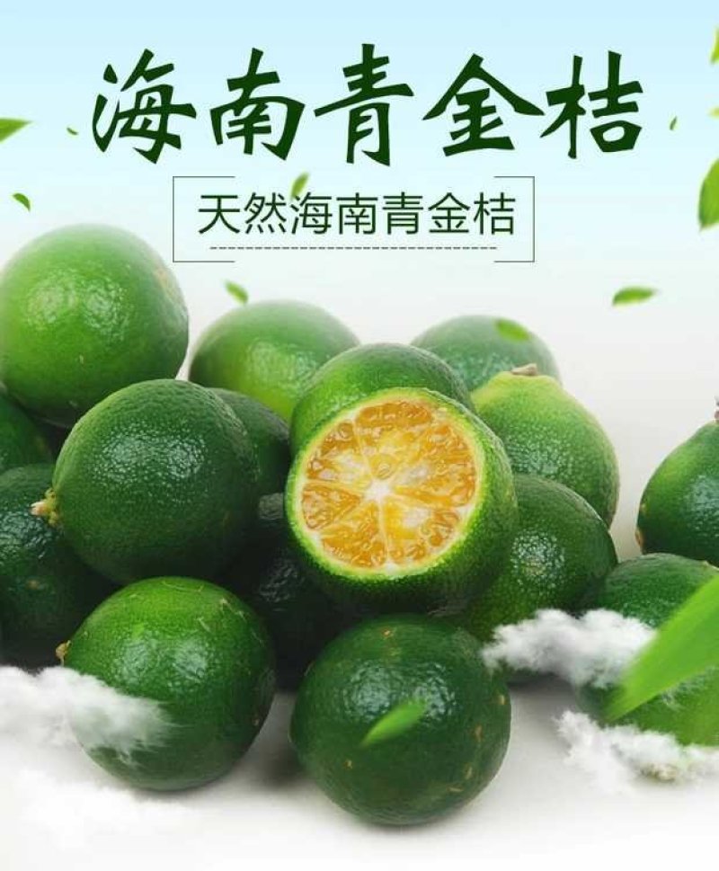 酸桔，海南酸桔，海南酸桔子，酸桔子，酸橘